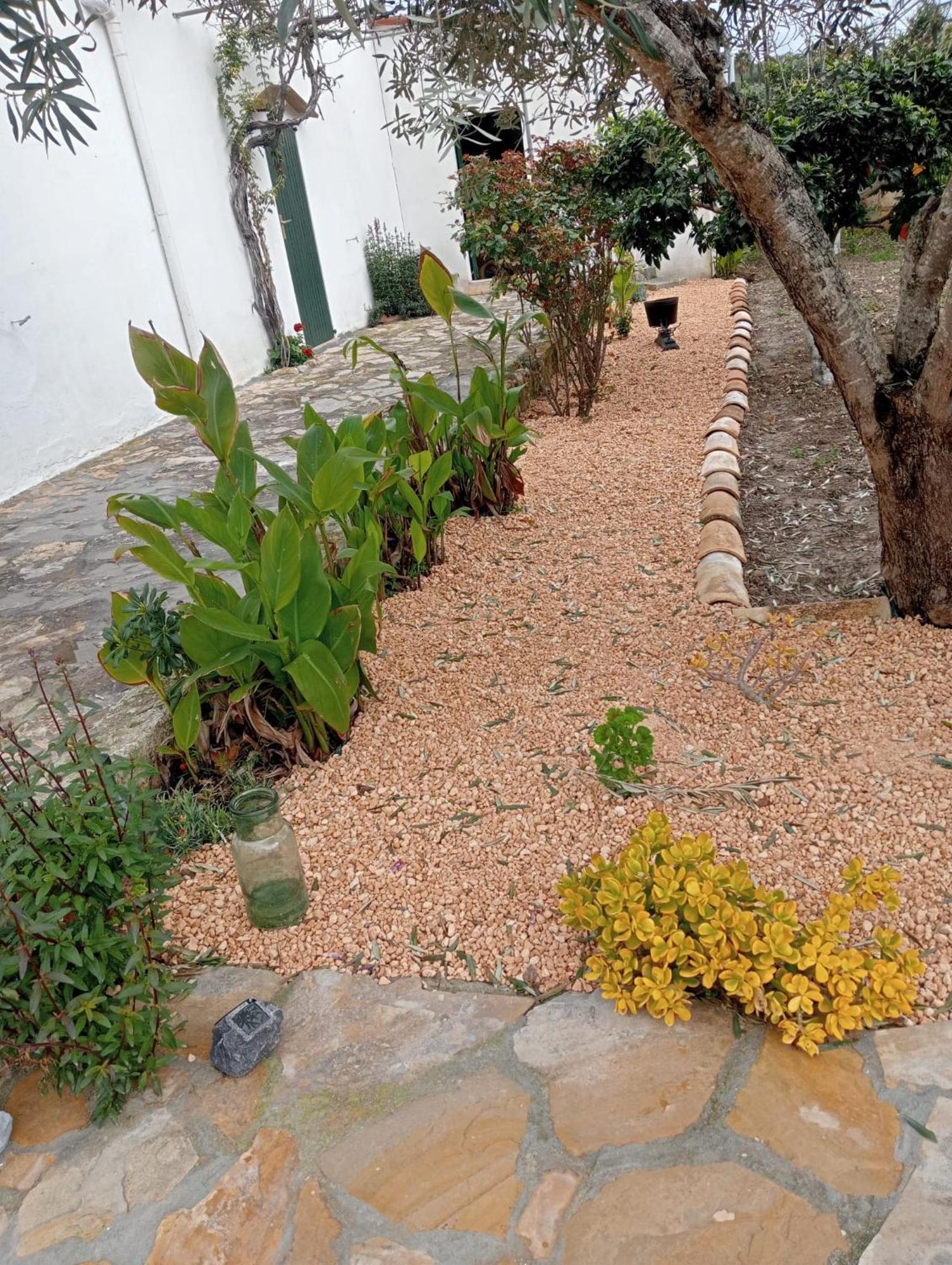Hébergement de vacances Es Puig Santa Margalida