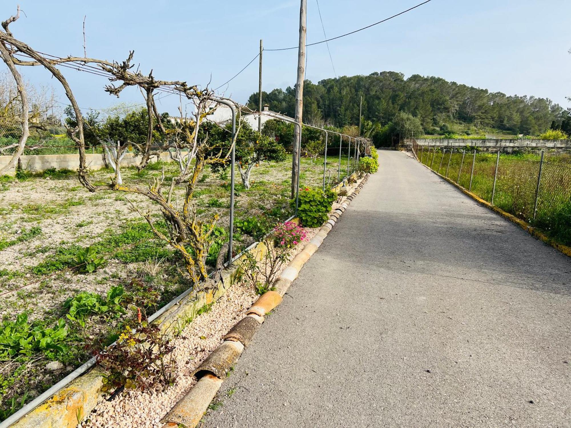 Es Puig Hébergement de vacances Santa Margalida