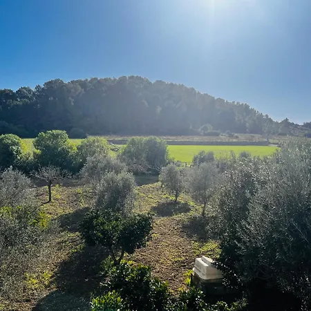 Es Puig Villa Santa Margalida Buitenkant foto
