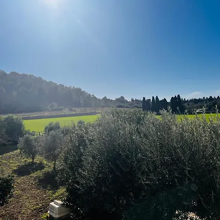 Es Puig Villa Santa Margalida Buitenkant foto