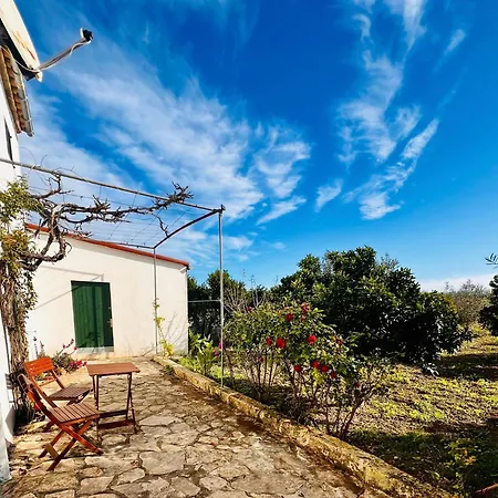 Es Puig Villa Santa Margalida Buitenkant foto